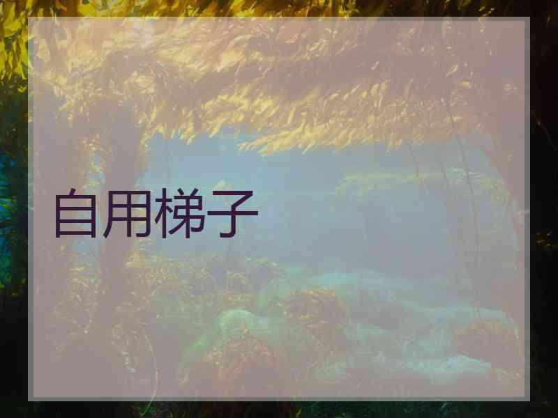 自用梯子