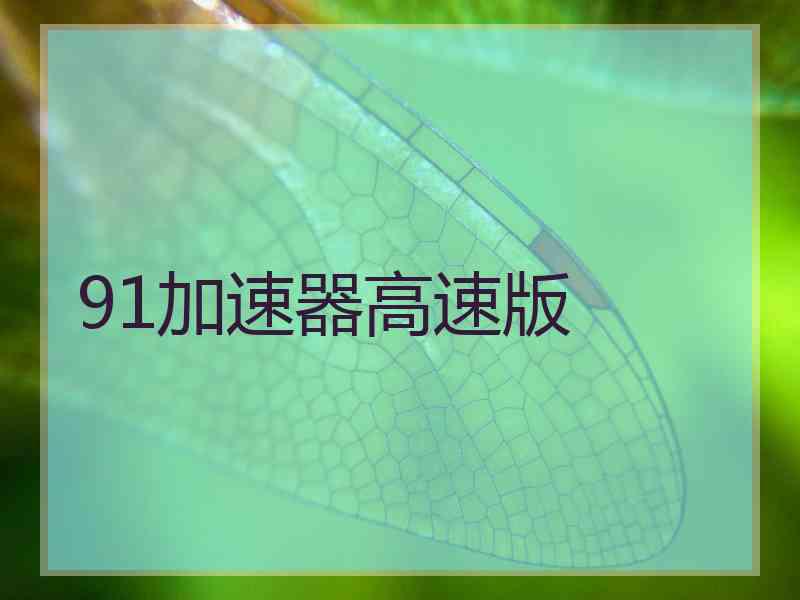 91加速器高速版