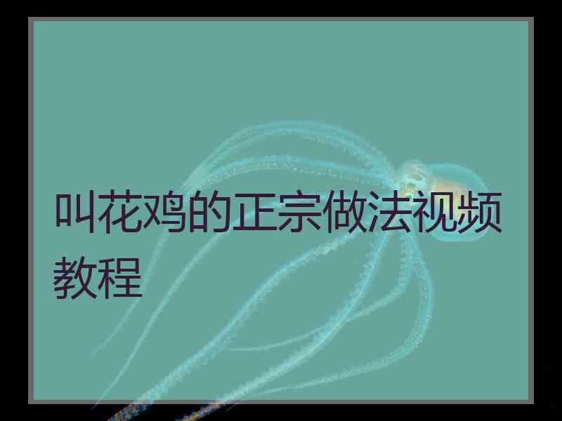 叫花鸡的正宗做法视频教程