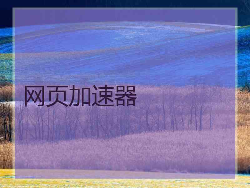 网页加速器