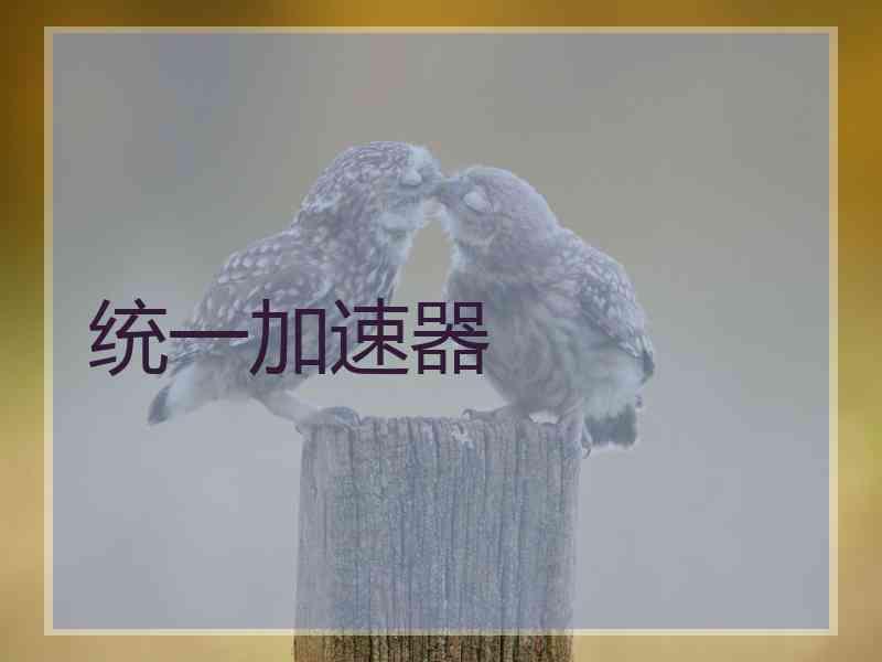 统一加速器