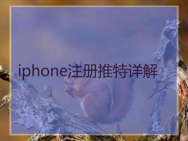 iphone注册推特详解
