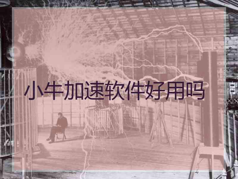 小牛加速软件好用吗