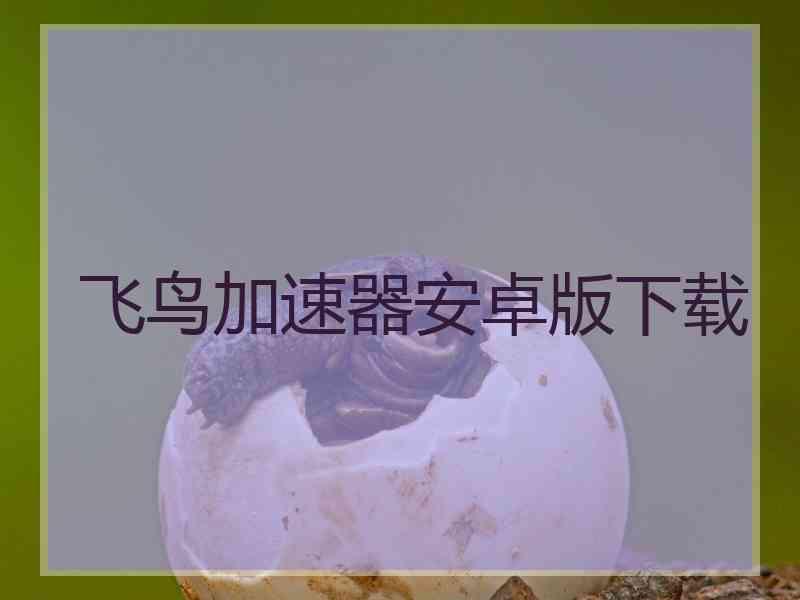 飞鸟加速器安卓版下载
