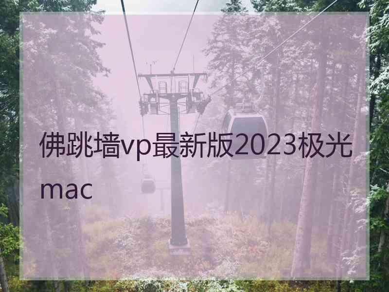 佛跳墙vp最新版2023极光 mac