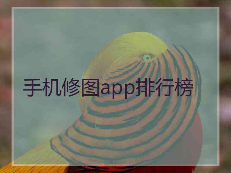 手机修图app排行榜