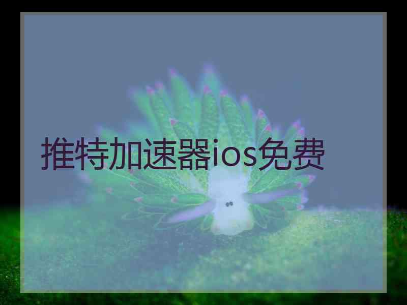 推特加速器ios免费