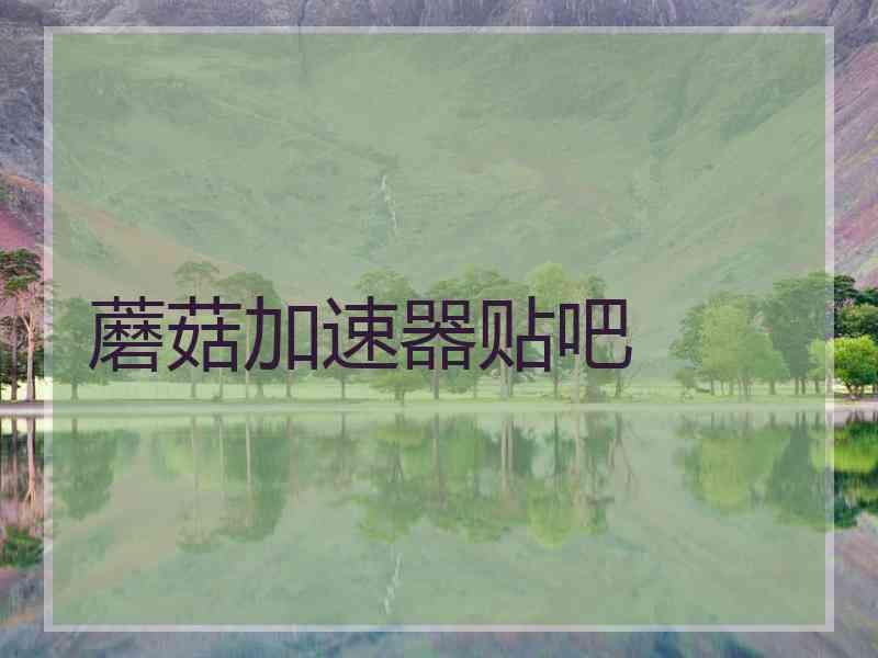蘑菇加速器贴吧