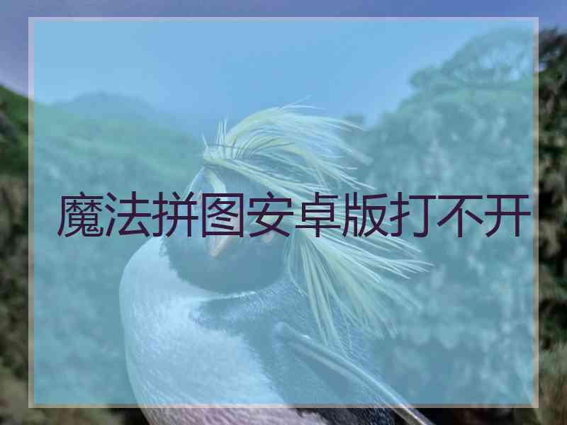 魔法拼图安卓版打不开