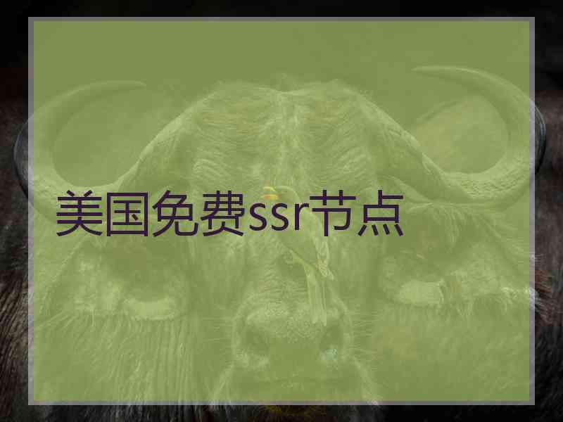 美国免费ssr节点