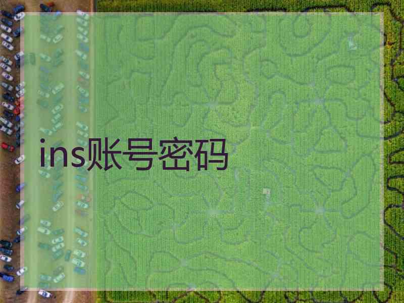 ins账号密码