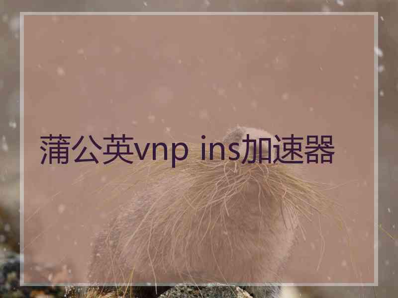 蒲公英vnp ins加速器