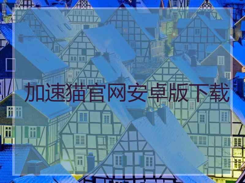 加速猫官网安卓版下载