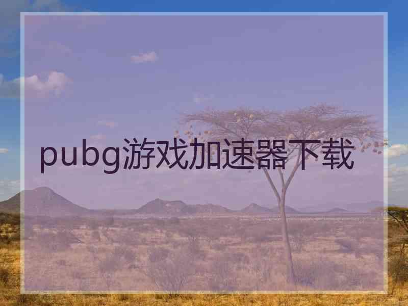 pubg游戏加速器下载