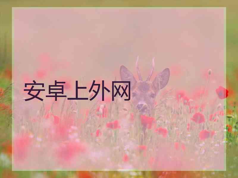 安卓上外网
