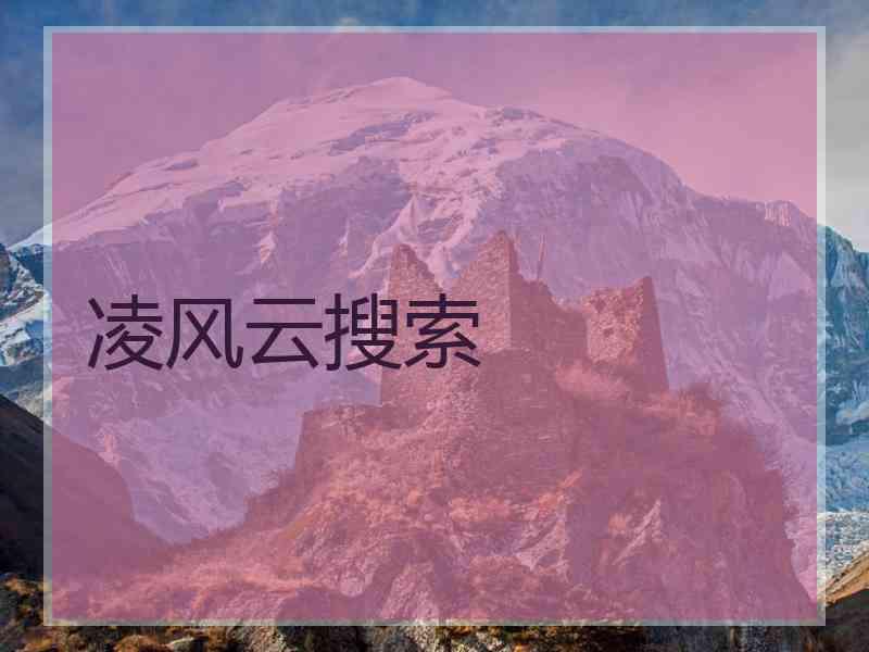 凌风云搜索