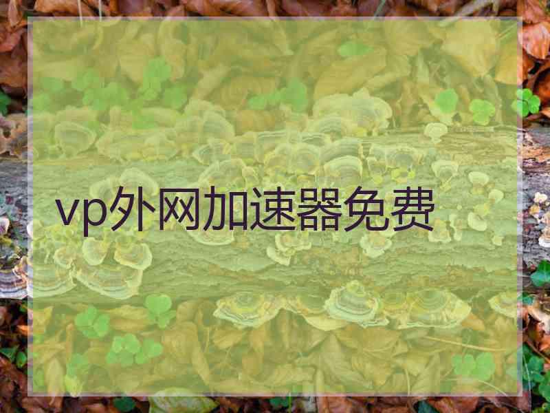 vp外网加速器免费