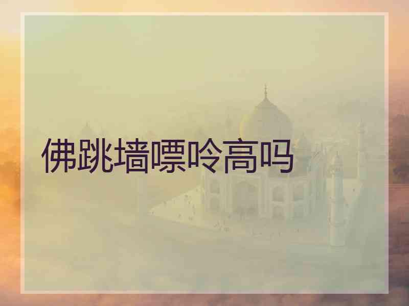 佛跳墙嘌呤高吗