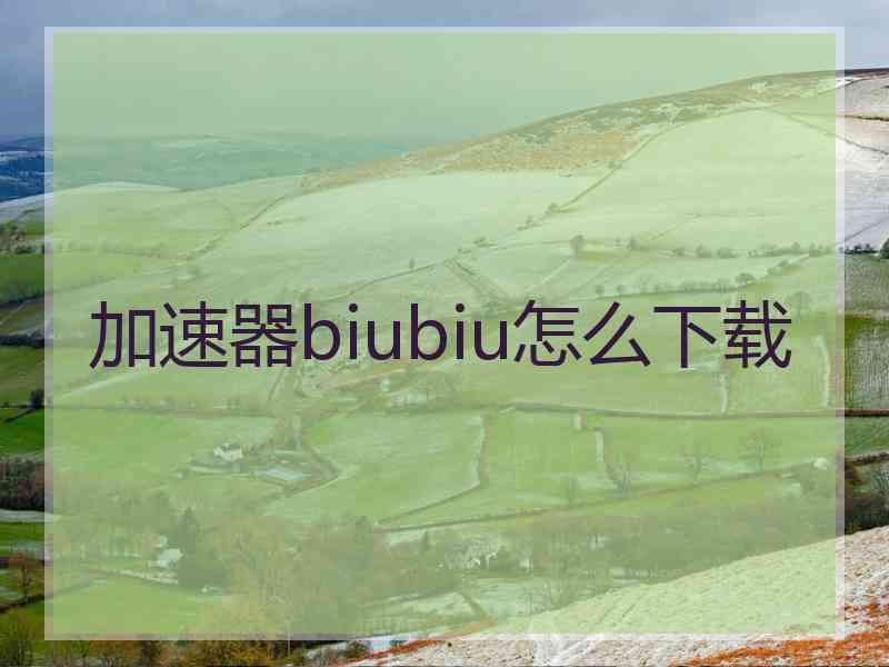 加速器biubiu怎么下载