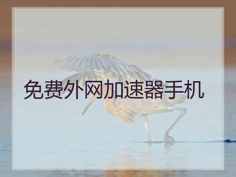 免费外网加速器手机