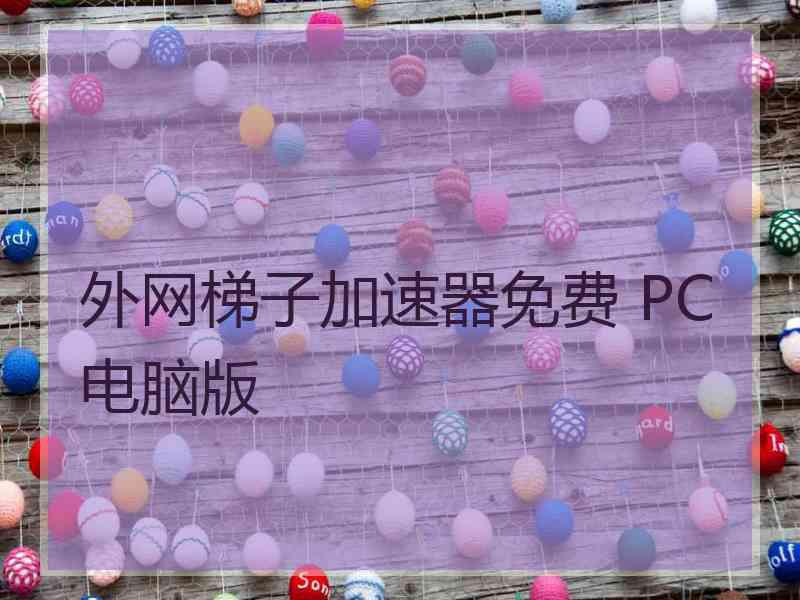 外网梯子加速器免费 PC电脑版