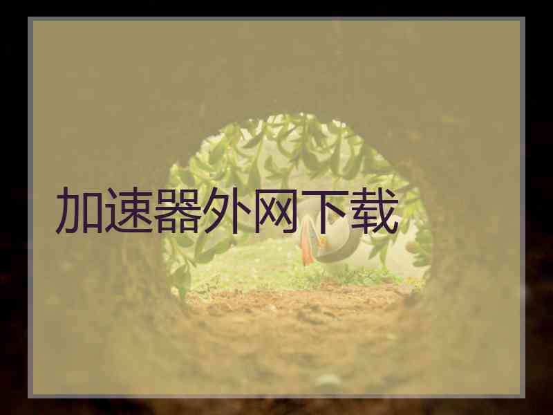 加速器外网下载