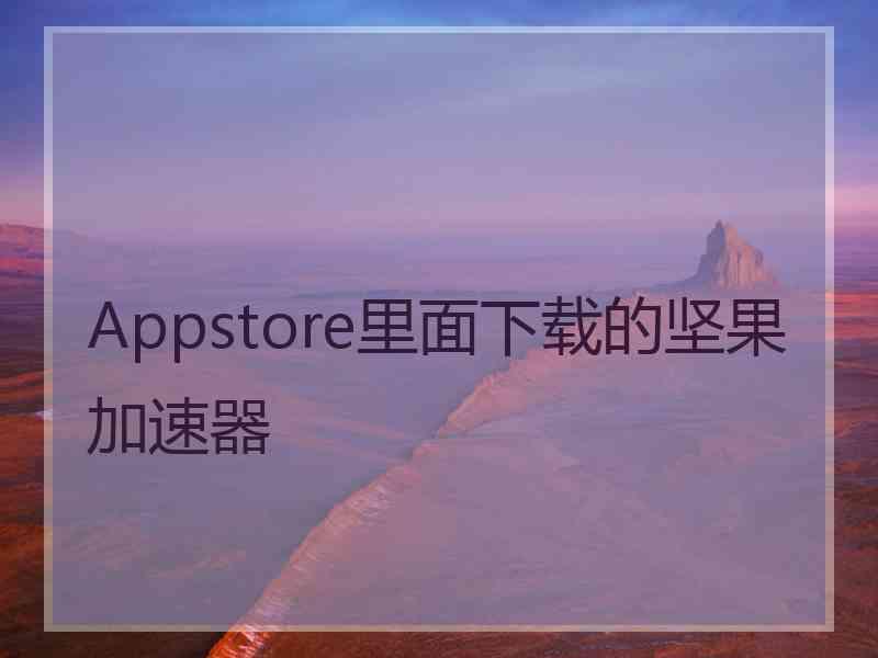 Appstore里面下载的坚果加速器