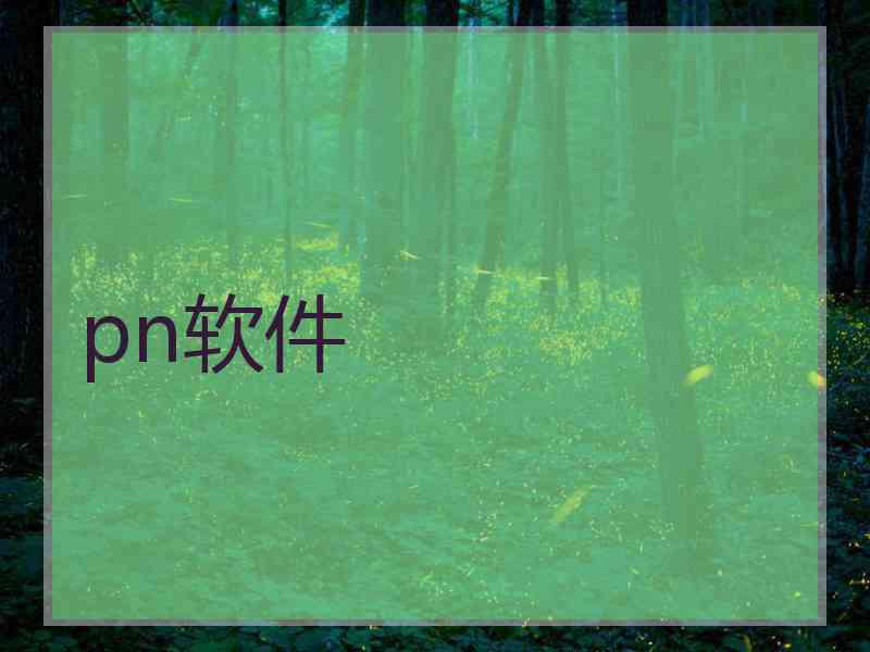 pn软件