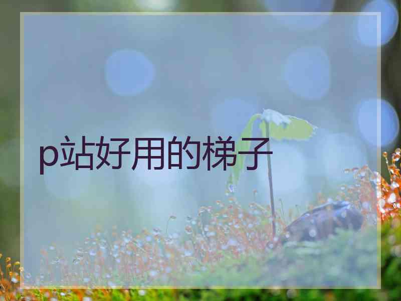 p站好用的梯子