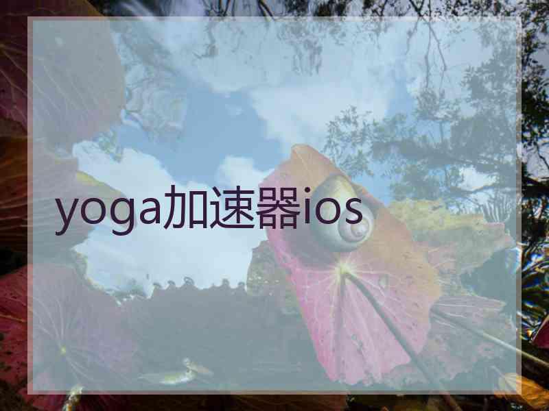 yoga加速器ios