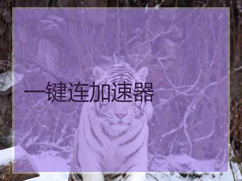 一键连加速器