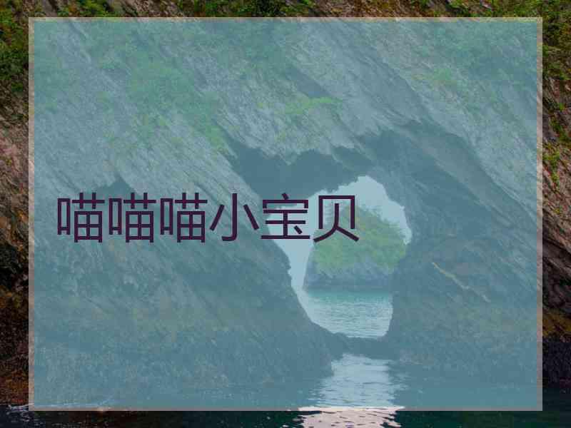 喵喵喵小宝贝