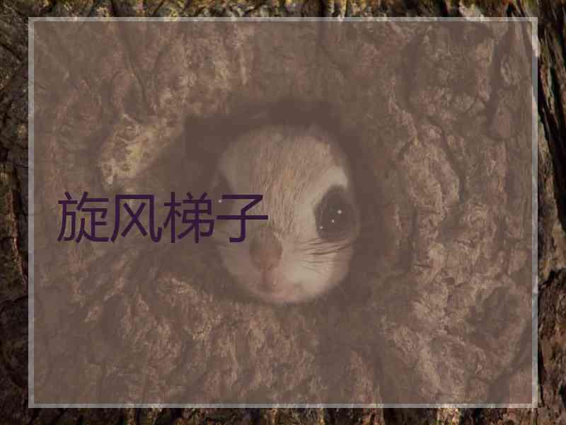 旋风梯子