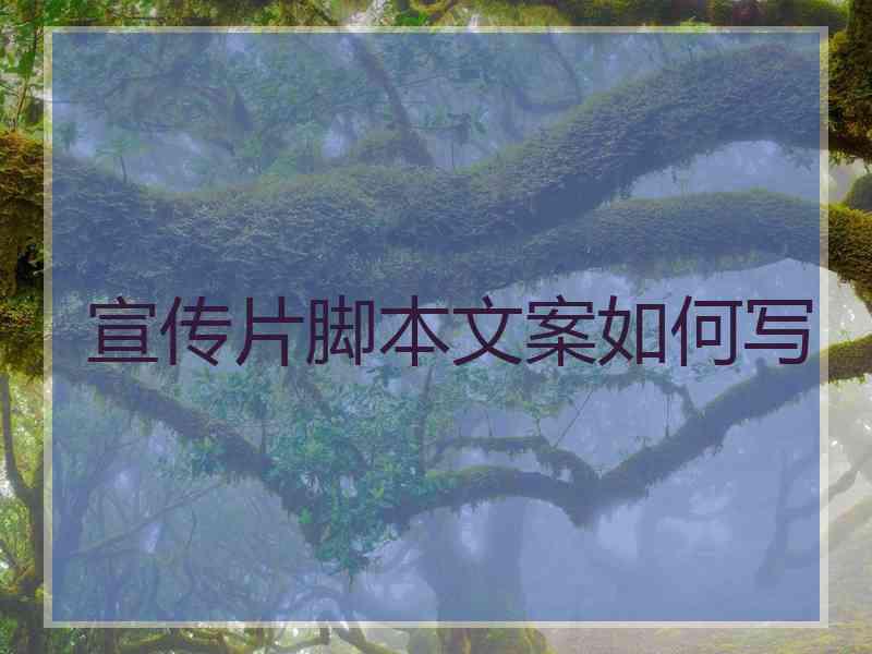 宣传片脚本文案如何写
