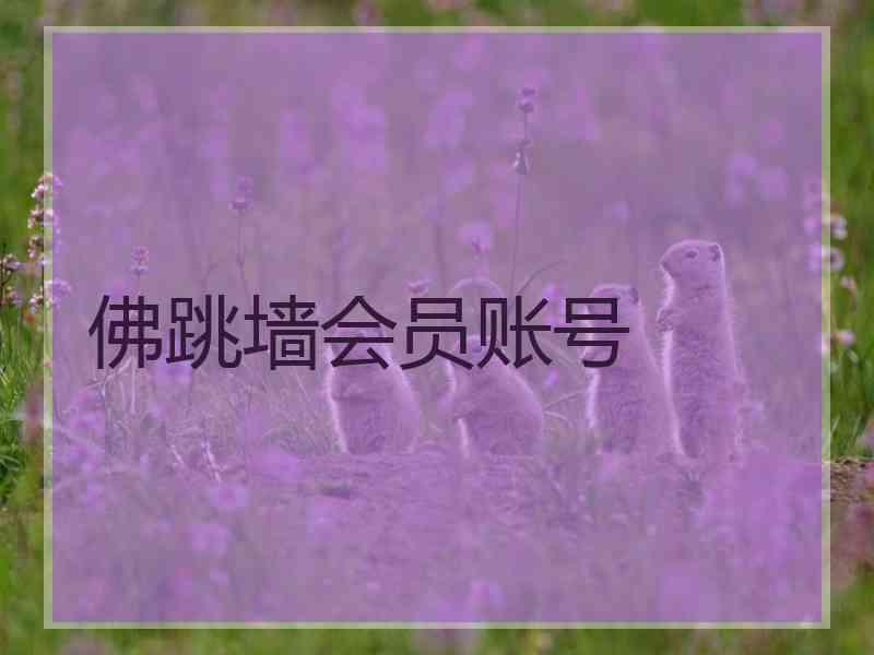 佛跳墙会员账号