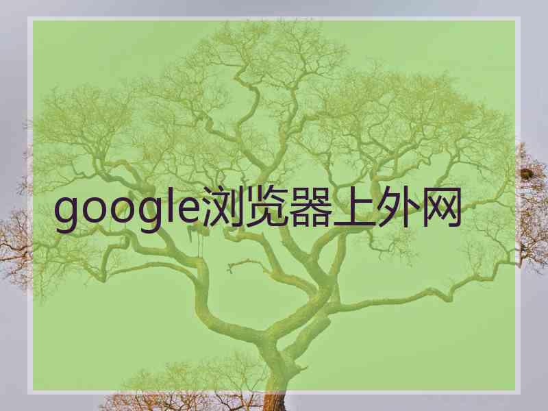 google浏览器上外网
