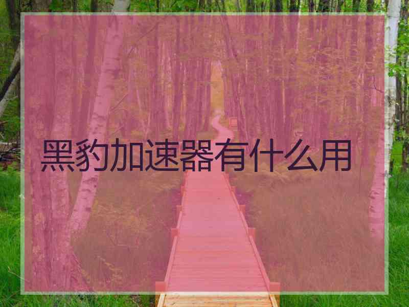 黑豹加速器有什么用