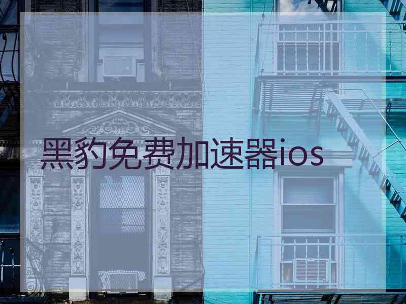黑豹免费加速器ios