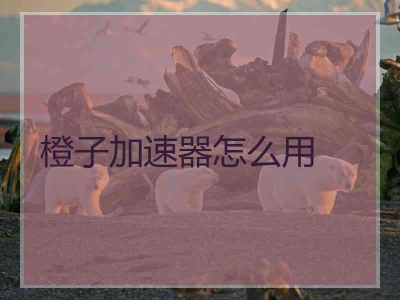 橙子加速器怎么用