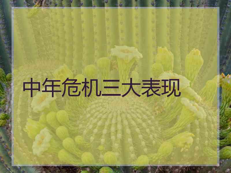 中年危机三大表现