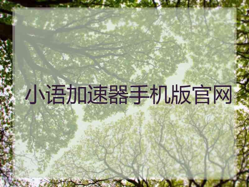小语加速器手机版官网
