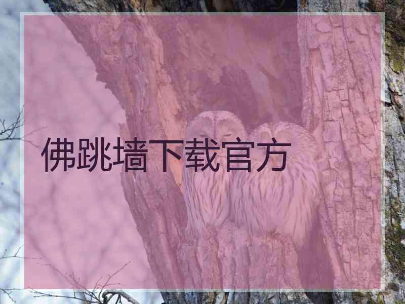 佛跳墙下载官方