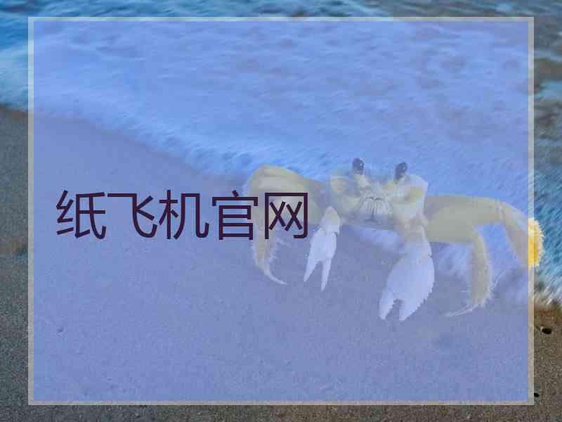 纸飞机官网
