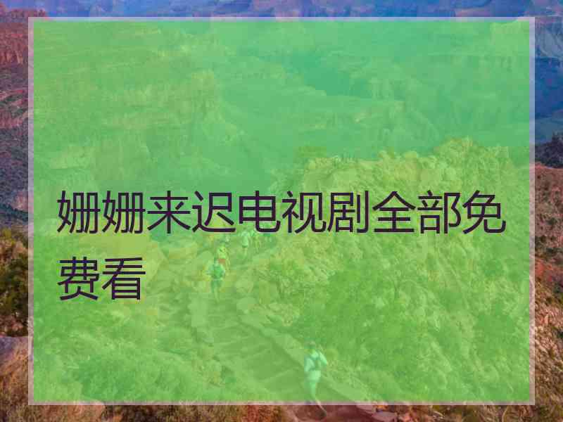 姗姗来迟电视剧全部免费看
