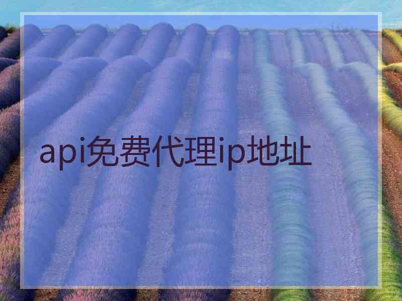 api免费代理ip地址