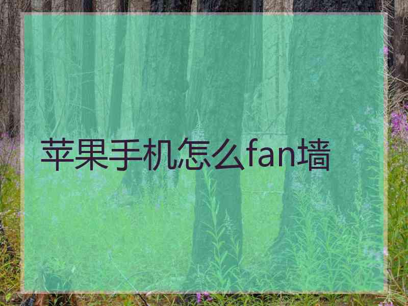 苹果手机怎么fan墙