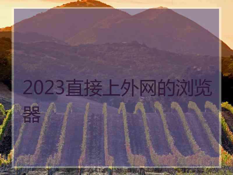 2023直接上外网的浏览器