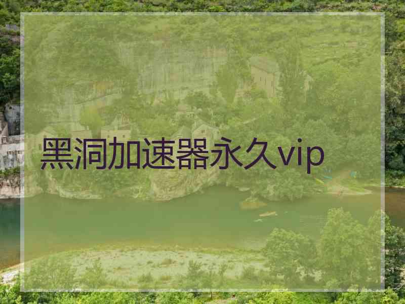 黑洞加速器永久vip