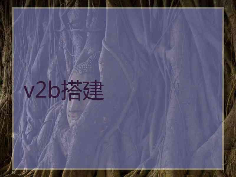 v2b搭建