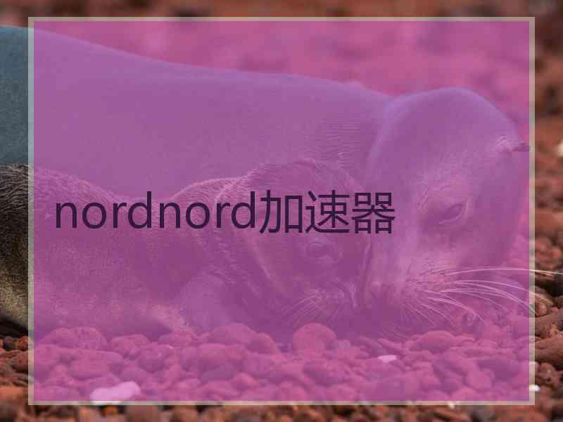 nordnord加速器